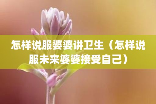 怎样说服婆婆讲卫生（怎样说服未来婆婆接受自己）