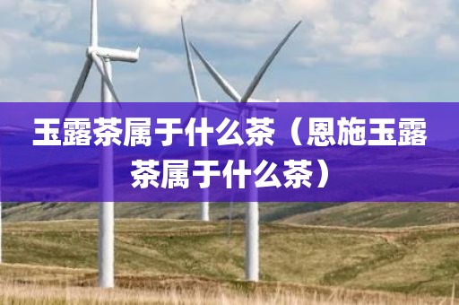 玉露茶属于什么茶（恩施玉露茶属于什么茶）