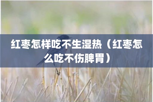 红枣怎样吃不生湿热（红枣怎么吃不伤脾胃）