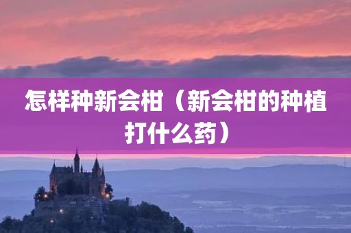怎样种新会柑（新会柑的种植打什么药）