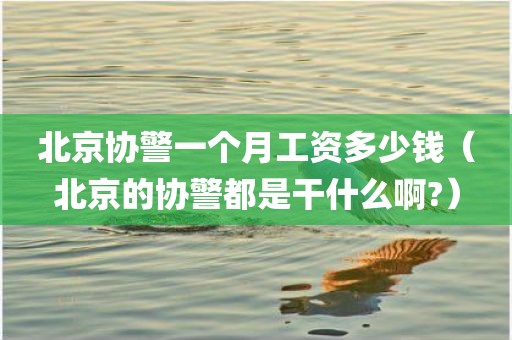 北京协警一个月工资多少钱（北京的协警都是干什么啊?）