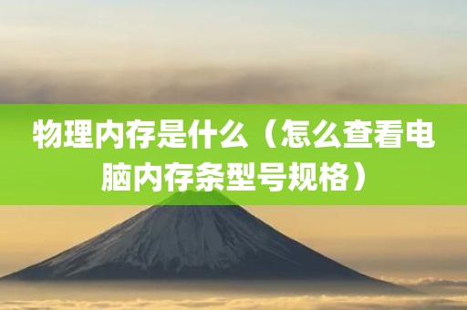 物理内存是什么（怎么查看电脑内存条型号规格）