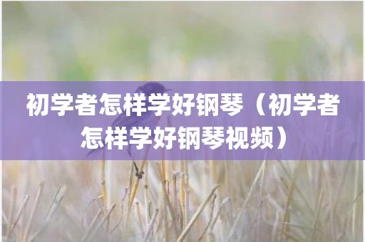 初学者怎样学好钢琴（初学者怎样学好钢琴视频）
