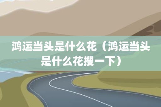 鸿运当头是什么花（鸿运当头是什么花搜一下）