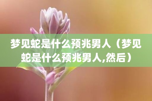 梦见蛇是什么预兆男人（梦见蛇是什么预兆男人,然后）