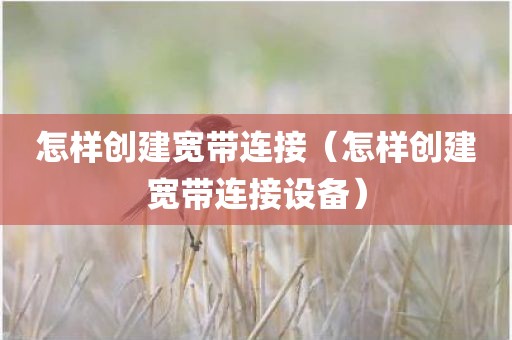 怎样创建宽带连接（怎样创建宽带连接设备）