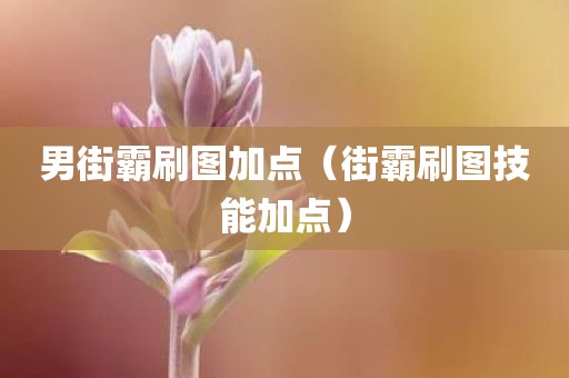 男街霸刷图加点（街霸刷图技能加点）