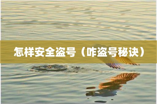 怎样安全盗号（咋盗号秘诀）