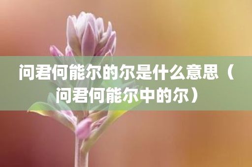 问君何能尔的尔是什么意思（问君何能尔中的尔）
