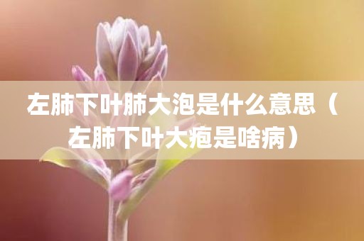 左肺下叶肺大泡是什么意思（左肺下叶大疱是啥病）
