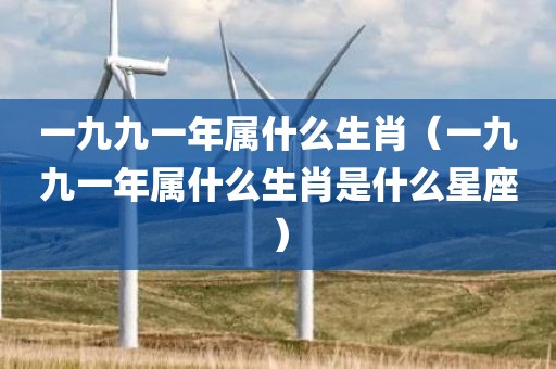 一九九一年属什么生肖（一九九一年属什么生肖是什么星座）