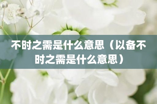 不时之需是什么意思（以备不时之需是什么意思）