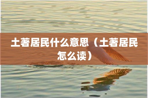 土著居民什么意思（土著居民怎么读）