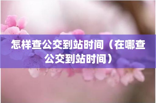 怎样查公交到站时间（在哪查公交到站时间）