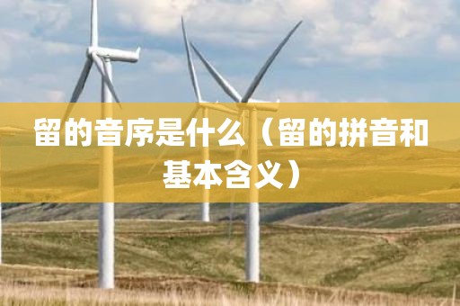 留的音序是什么（留的拼音和基本含义）