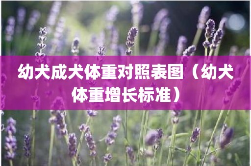 幼犬成犬体重对照表图（幼犬体重增长标准）