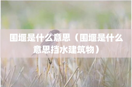 围堰是什么意思（围堰是什么意思挡水建筑物）