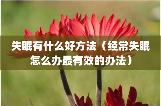 失眠有什么好方法（经常失眠怎么办最有效的办法）