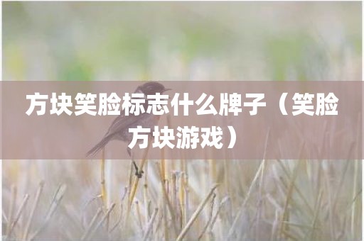 方块笑脸标志什么牌子（笑脸方块游戏）