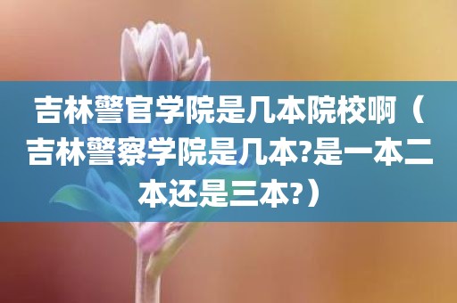 吉林警官学院是几本院校啊（吉林警察学院是几本?是一本二本还是三本?）