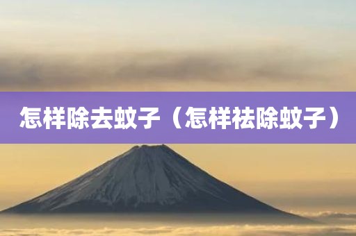 怎样除去蚊子（怎样祛除蚊子）