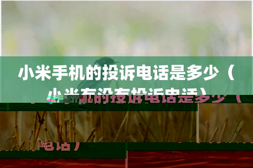 小米手机的投诉电话是多少（小米有没有投诉电话）