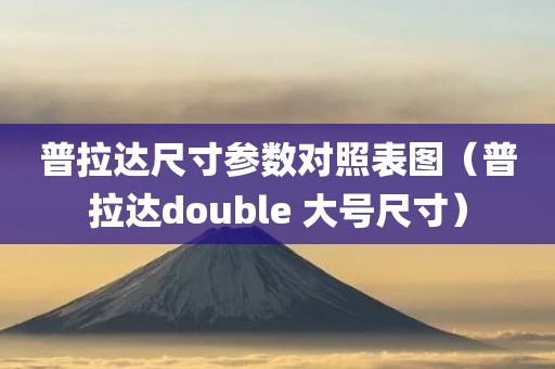 普拉达尺寸参数对照表图（普拉达double 大号尺寸）
