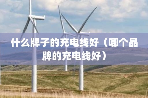 什么牌子的充电线好（哪个品牌的充电线好）