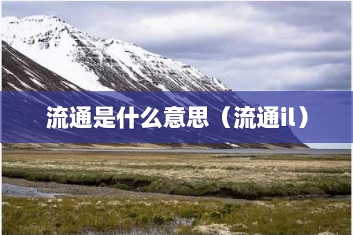 流通是什么意思（流通il）