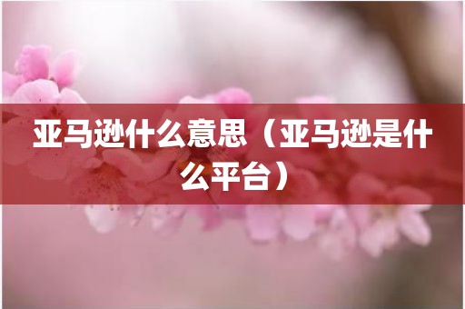 亚马逊什么意思（亚马逊是什么平台）