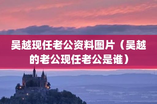 吴越现任老公资料图片（吴越的老公现任老公是谁）