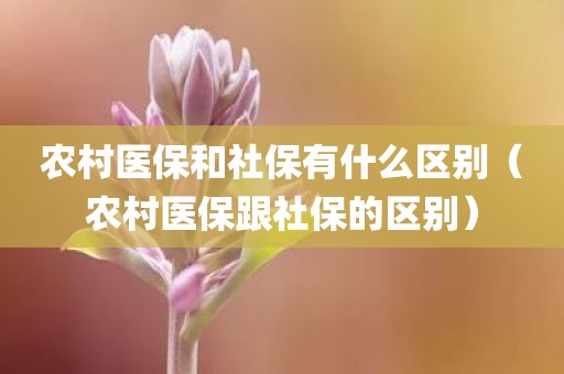 农村医保和社保有什么区别（农村医保跟社保的区别）