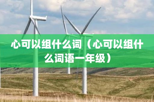 心可以组什么词（心可以组什么词语一年级）