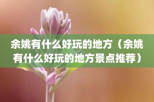 余姚有什么好玩的地方（余姚有什么好玩的地方景点推荐）