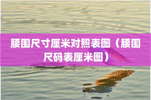 腰围尺寸厘米对照表图（腰围尺码表厘米图）