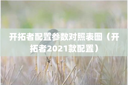开拓者配置参数对照表图（开拓者2021款配置）