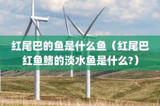 红尾巴的鱼是什么鱼（红尾巴红鱼鳍的淡水鱼是什么?）