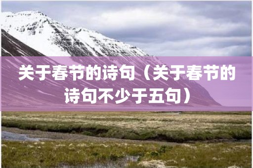 关于春节的诗句（关于春节的诗句不少于五句）