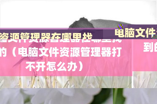 电脑文件资源管理器在哪里找到的（电脑文件资源管理器打不开怎么办）