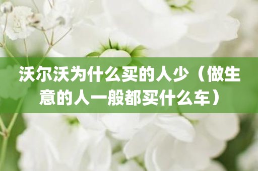 沃尔沃为什么买的人少（做生意的人一般都买什么车）