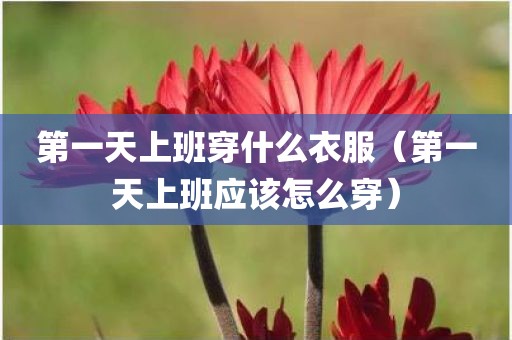 第一天上班穿什么衣服（第一天上班应该怎么穿）