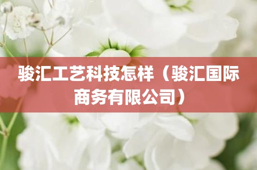 骏汇工艺科技怎样（骏汇国际商务有限公司）