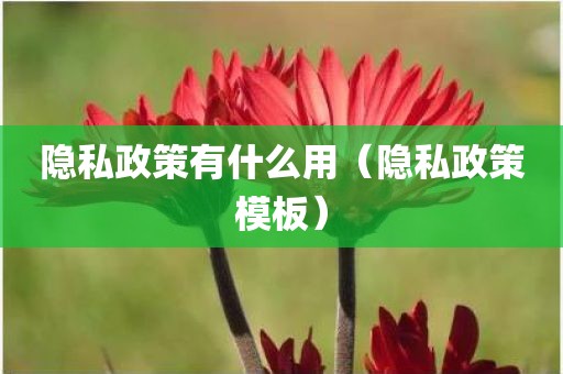 隐私政策有什么用（隐私政策模板）