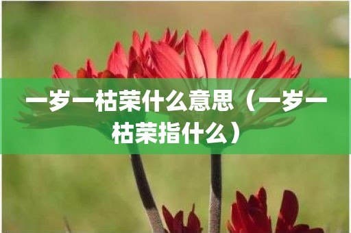 一岁一枯荣什么意思（一岁一枯荣指什么）