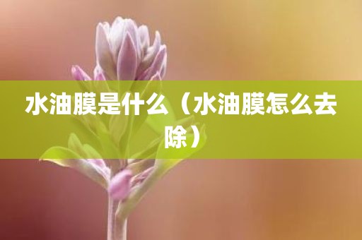 水油膜是什么（水油膜怎么去除）