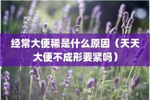 经常大便稀是什么原因（天天大便不成形要紧吗）