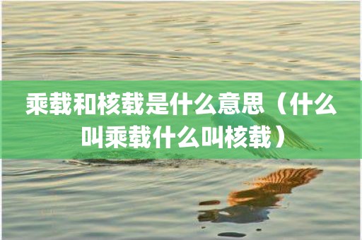 乘载和核载是什么意思(什么叫乘载什么叫核载)