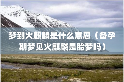 梦到火麒麟是什么意思（备孕期梦见火麒麟是胎梦吗）