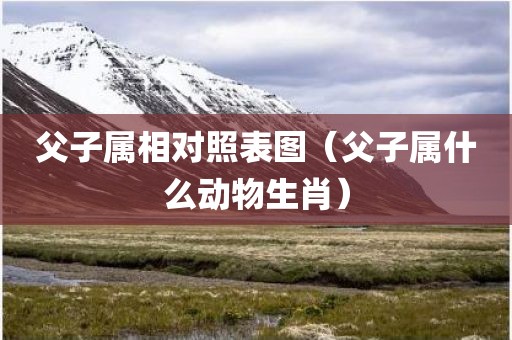 父子属相对照表图（父子属什么动物生肖）