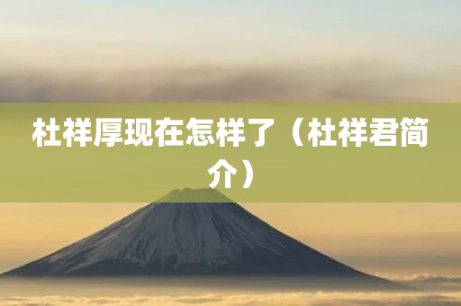 杜祥厚现在怎样了（杜祥君简介）